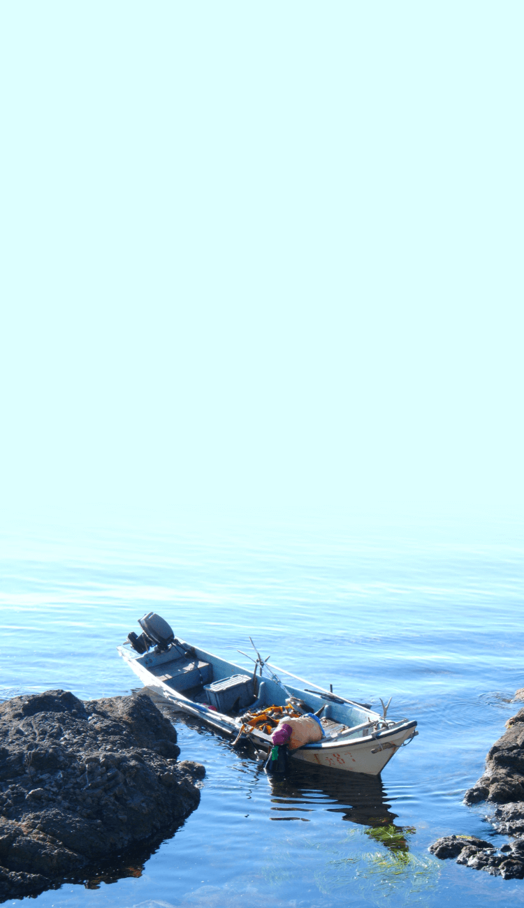 旬のウニだけをお届けします。