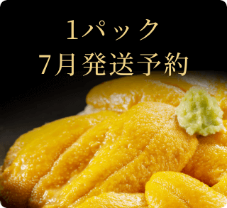 2023年7月発送予約塩水ムラサキウニ1パック