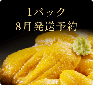 2023年8月発送予約塩水ムラサキウニ1パック