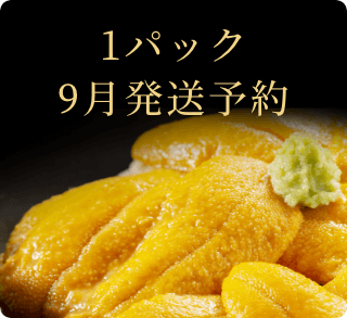2023年9月発送予約塩水ムラサキウニ1パック