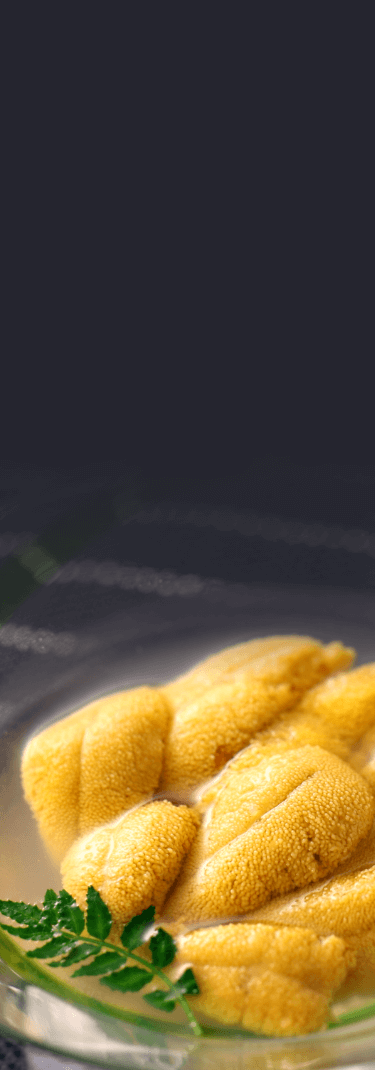 キタムラサキウニ